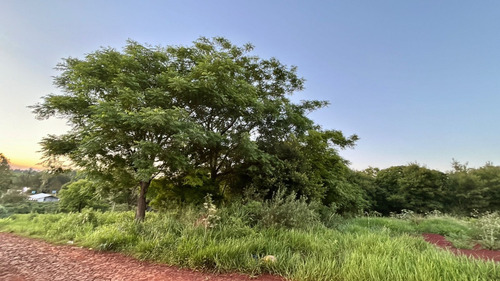 Vendo Terreno Km 16 - Minga Guazu