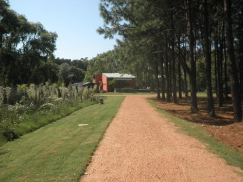 Chacra | Camino Lussich, Maldonado (atm-at5-2438)