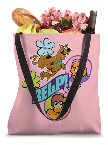 ¡scooby-doo Daphne Velma Relp! Bolso De Mano
