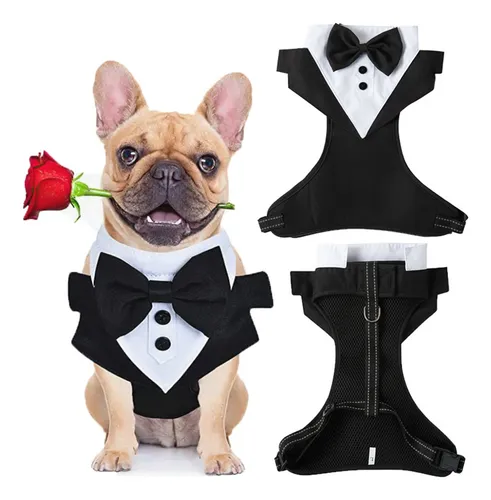 Ropa para perros pug mercado libre sale