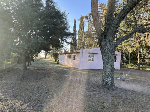 Imagen 1 de 20 de En Venta!!! Casa Quinta Frente A Rn 188, Km 153. (junín - Ba)