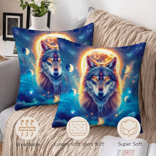 Fundas De Almohada 18x18 Juego De 2, Cálidas Y Suaves Fundas