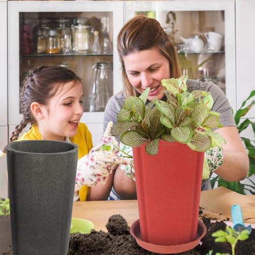 Maceta De Orquídea De 6 Pulgadas Premium, Macetas De Arcill
