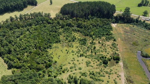 Campo En Venta En Cañitas, Los Muermos, Región De Los Lagos