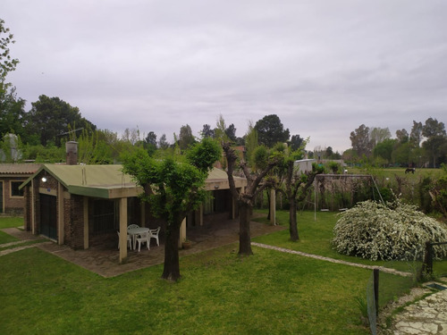 Imagen 4 de 13 de Quinta Ideal Para Fines De Semana - Excelente Ubicacion Y Acceso!