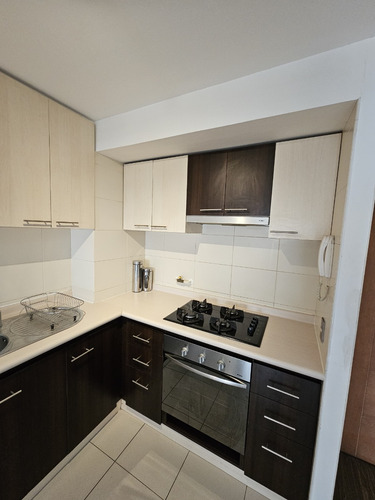 Se Arrienda Departamento Duplex Amoblado Concepción