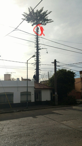 Imagen 1 de 5 de Podas De Arboles Y Limpieza De Terrenos 1160202713