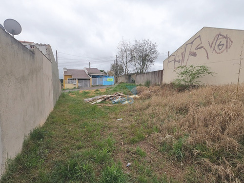 Imagem 5 de 25 de Terreno 12m X 30m, Disponível Para Venda No Bairro Gralha Azul, Na Fazenda Rio Grande! - Te00103 - 70075859