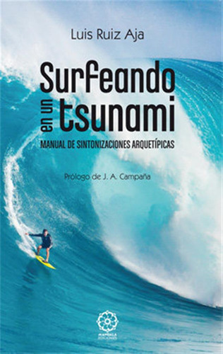 Surfeando En Un Tsunami - Ruiz Aja, Luis