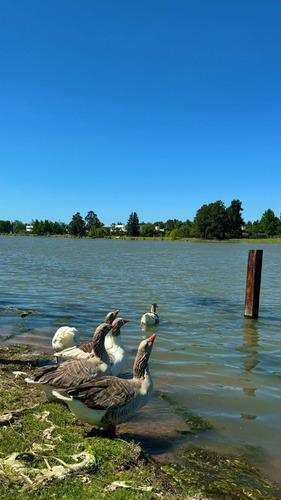 Casa En Venta Puerto Roldan Vista Al Lago Calidad Premium