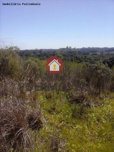 Imagem 8 de 11 de Chácara Para Venda Em Araucária, Lagoa Grande - Ch0695_2-1188144