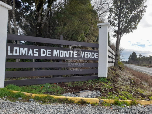 Parcela En Venta - Lomas De Monte Verde