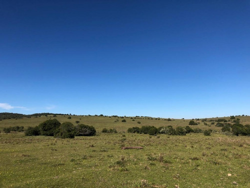 Punto Río | Campo Ganadero De 166 Has - La Centinela