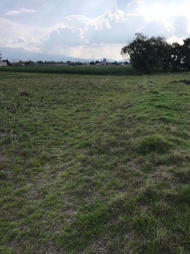 Terreno Av. Codagem, San Miguel Totocuitlapilco, Metepec, Edo. De México.
