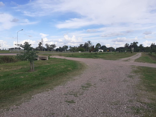 Imagen 12 de 13 de Terreno En Venta En Reconquista En Los Naranjos