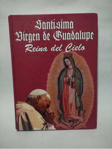 Santísima Virgen De Guadalupe Reina Del Cielo 