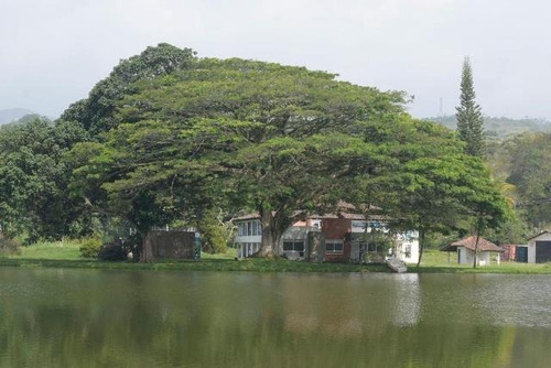 Imagen 5 de 21 de Venta Casa Condominio Jamundi Oceano Verde