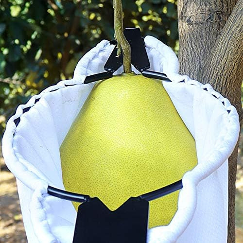 Colhedor De Frutas Takashu Pear Jujuba, Ferramenta De Colhei