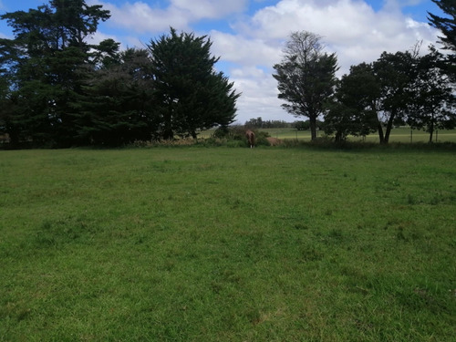 Chacra 1.5 Hás. A La Venta Ruta 8 Vieja Piedra Del Toro