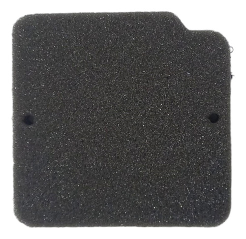Filtro Ar Elemento Espuma Shineray Xy 50 2015 Á 2024
