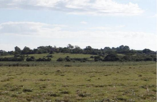 Chacra - Chacras De José Ignacio