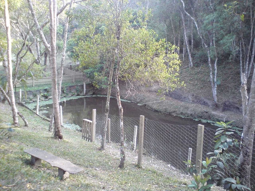 Imagem 12 de 12 de Chácara 15.752,39 M²