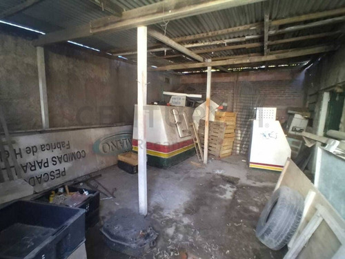 Imagen 10 de 14 de Local Con Fábrica Y Cámaras Frigoríficas Id 49077