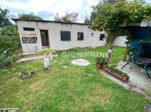 Vendo 2 Casas Mas De 500m2 De Terreno En La Mejor Zona Del Cerro Ref991