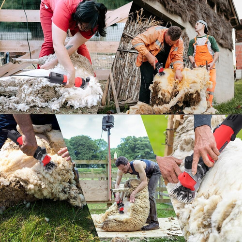 900w Trasquiladora Rasuradora Para Borregos Perros Ovejas