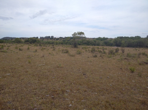 Campo De 13 Hectáreas Con Arroyo