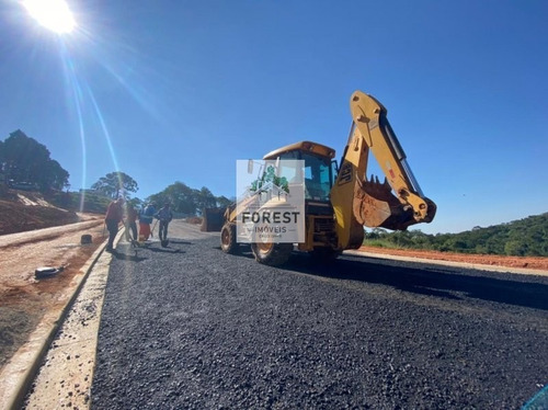 Imagem 11 de 11 de Terrenos A Venda No Centro De Cotia - Terreno A Venda No Bairro Quinta Dos Angicos - Cotia, Sp - Fo80153