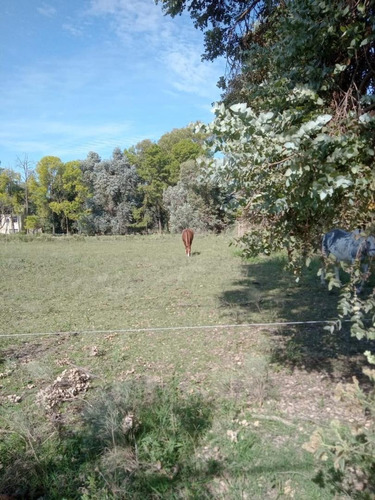 Imagen 3 de 6 de Terreno Tipo Chacra
