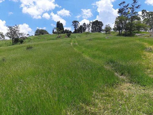 Terrenos Com Ótima Qualidade E Preço Baratinho.