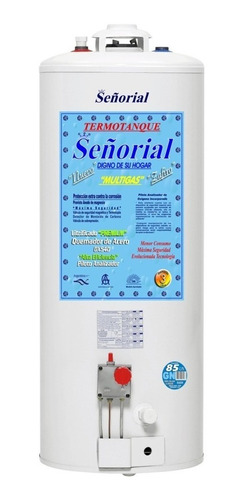 Imagen 1 de 7 de Termotanques A Gas 85l Señorial Multigas Cuotas Sin Interes