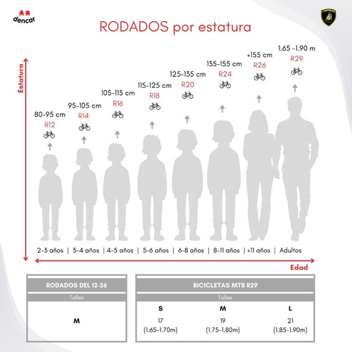 Bicicleta Estilo Moto Rodado 16 Lamborghini C/rueditas