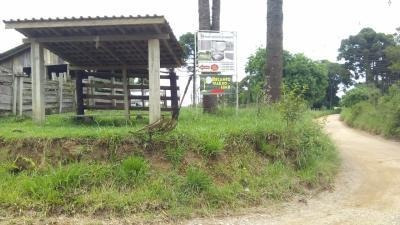 Lote Colecionador Jogos Parana Piraquara Em Terrenos Venda No