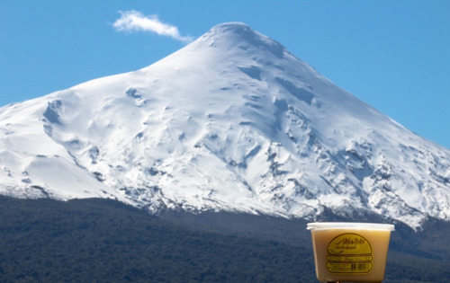 Miel De Abejas De Puerto Varas / 8 Potes / Envío Gratis