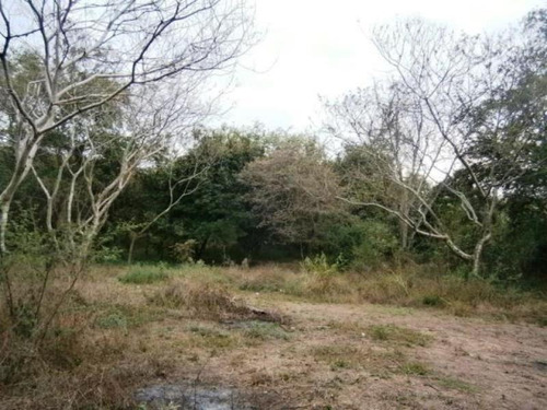 Imagen 6 de 23 de Venta Terreno Xochitepec Morelos Valle Dorado