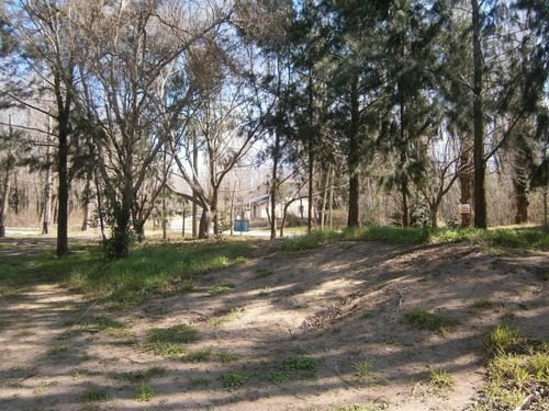 Imagen 6 de 9 de Paseo Del Bosque Manzana 160 Lote 20