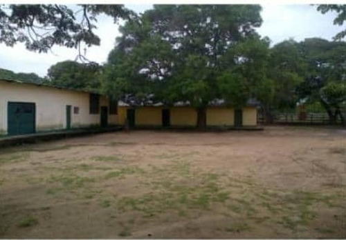 Imagen 4 de 14 de Finca En Venta En Edo. Barinas, Arismendi