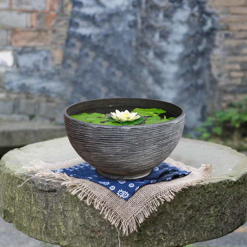Maceta De Cuenco Para Plantas De Exterior Macetas De Lirio D