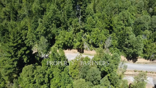 Parcela Con Bosque Nativo.