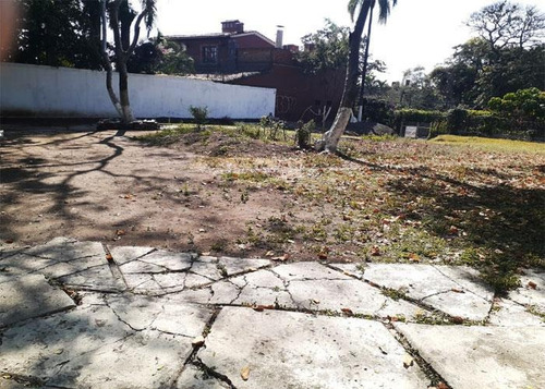 Imagen 5 de 6 de Venta Terreno Comercial -av. Morelos Sur, Cuernavaca