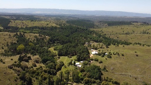 Imagen 20 de 30 de Vendo Campo Athos Pampa 62hs Con 3 Arroyos 3 Casas Galpones