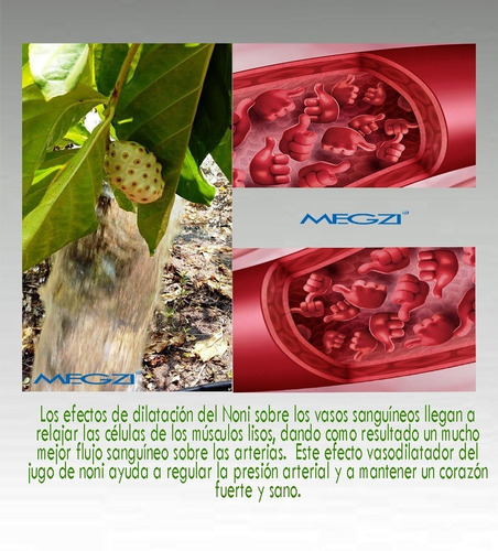 Pack 2 Pzs Jugo Noni Megzi 1l Pasteurizado