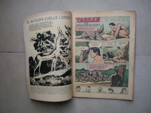 Tarzan # 57 Del Año 1956 Editorial Sea Novaro, Época De Oro (Usado)