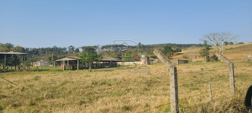 Imagem 11 de 15 de Sitio - Coqueiros - Ref: 26160 - V-26160