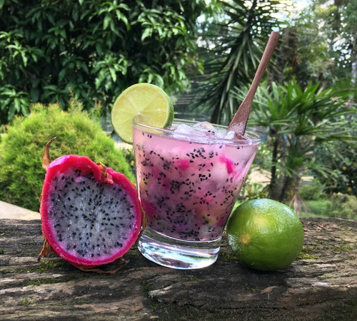 3 Esquejes Pitaya+ Tierra+ Bolsas+ Instructivo Kit Completo