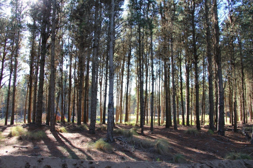 Imagen 13 de 23 de Villarobles Lote 594 Frente A Laguna 2 Retasado!!