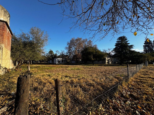 Terreno En Venta De 3.049 M2 Av. Ricardo Rojas